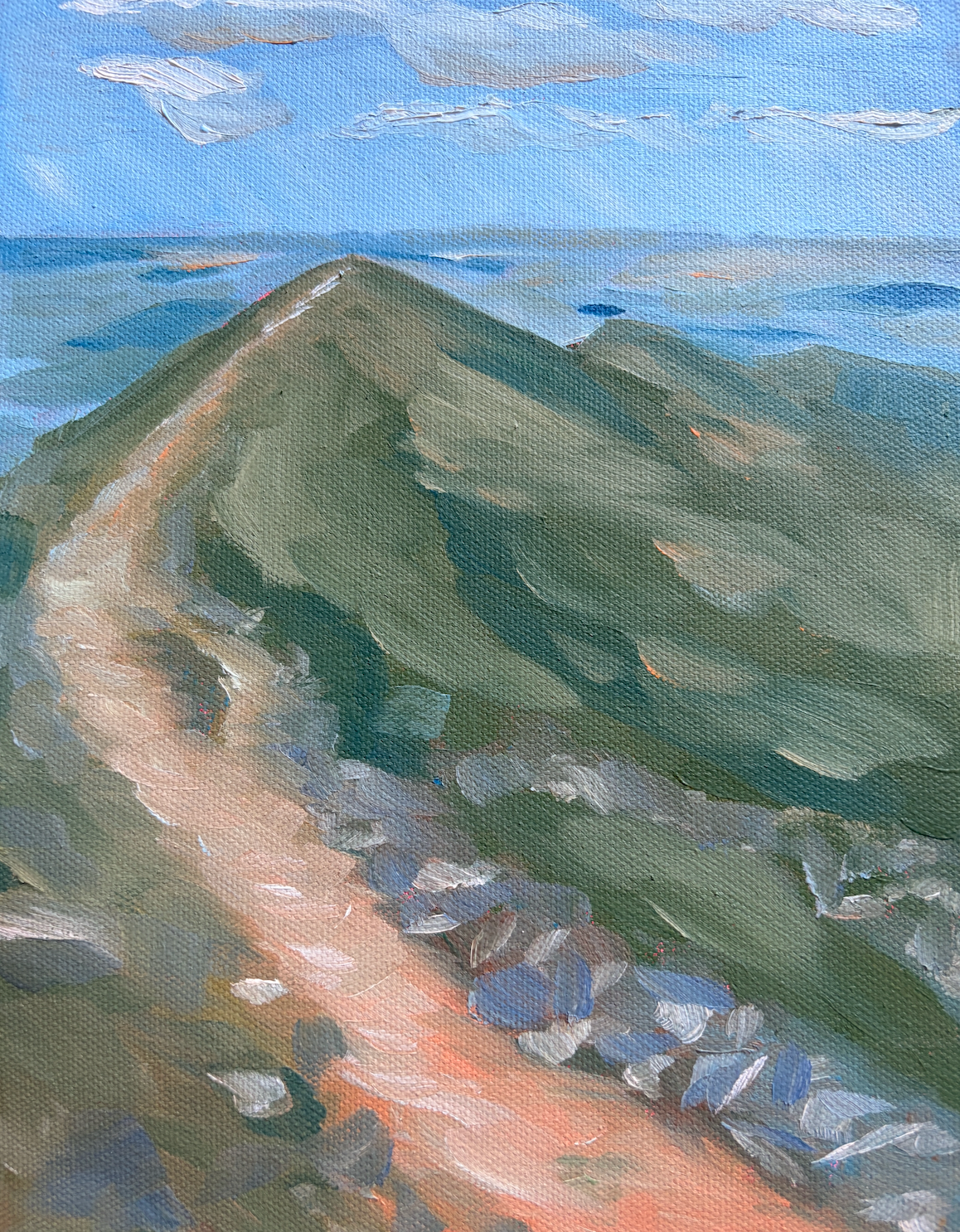 Lake District Study